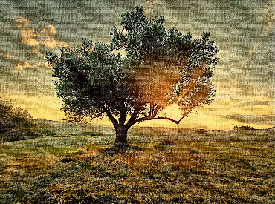 Il format Dall'Alba al Tramonto